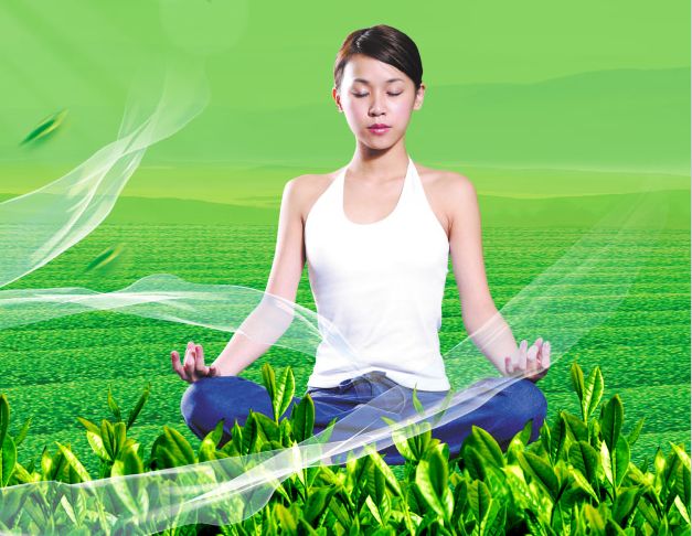德外尔理工学院机械工程文凭证书
